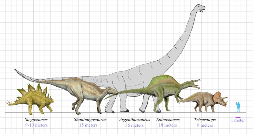 Dinosaurs size